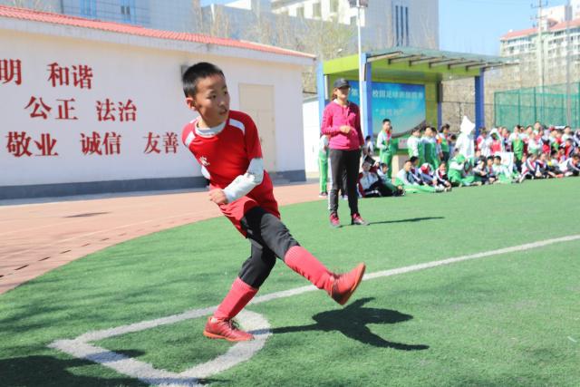 曝哈维仍获得高层信任 认为裁判误判是出局原因之一